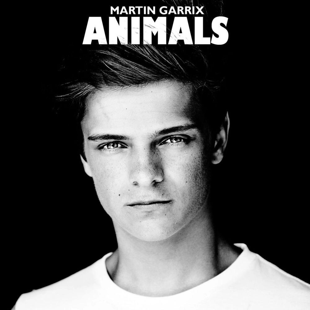 Martin Garrix - Animals kiemelt képe